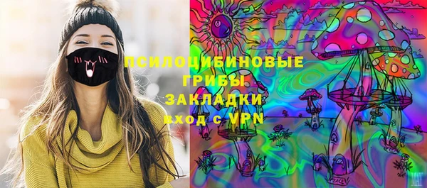 метадон Каменка