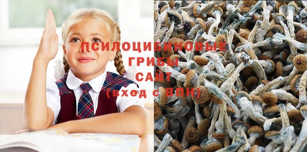 метадон Каменка
