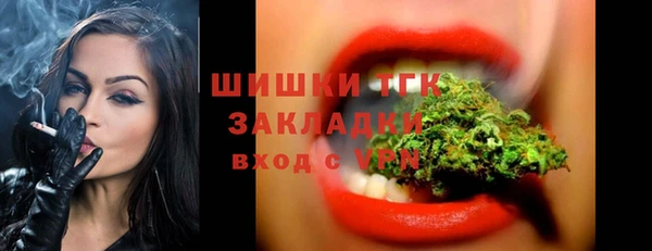метадон Каменка