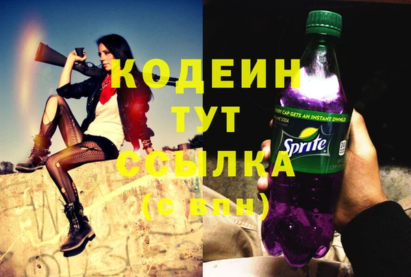 метадон Каменка