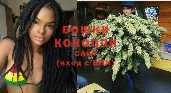 метадон Каменка