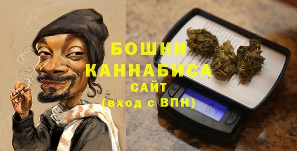 первитин Каменногорск